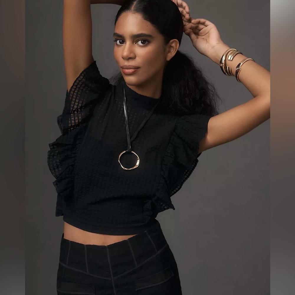Maeve by Anthropologie Black Crop Ruffle Mesh Top Size XXS NWOT